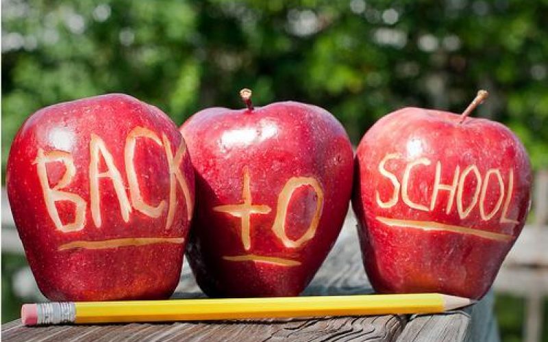 სკოლებში ახალი წლიდან, შესაძლოა, ვაშლები აღარ შეიტანონ