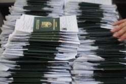 აფხაზეთის დე ფაქტო რესპუბლიკის ე.წ. შინაგან საქმეთა სამინისტროს ინფორმაციით, ახალი ნიმუშის 8226 პასპორტი მზადაა გასაცემად.