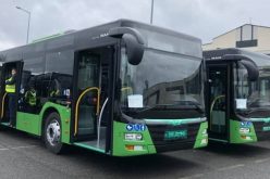 ლესელიძის ქუჩაზე ახალი, მწვანე ავტობუსი იმოძრავებს