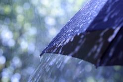 საქართველოს ზოგიერთ რაიონში 2-5 სექტემბერს ხანმოკლე წვიმა და ელჭექია მოსალოდნელი.